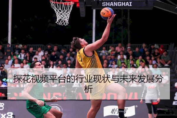 探花视频平台的行业现状与未来发展分析